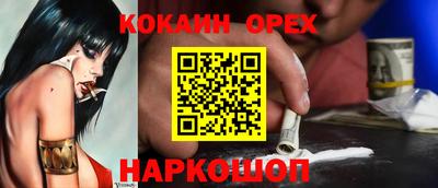 мдпв Кингисепп