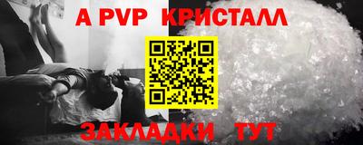 мдпв Кингисепп