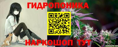 стафф Коммунар
