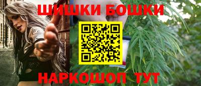 мдпв Кингисепп