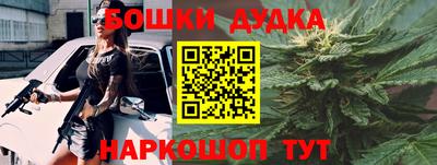 мдпв Кингисепп