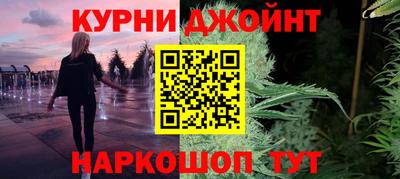 мдпв Кингисепп