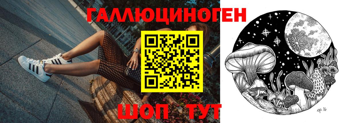 Галлюциногенные грибы мицелий  Вход с VPN  Шебекино  Галлюциногенные грибы GOLDEN TEACHER 