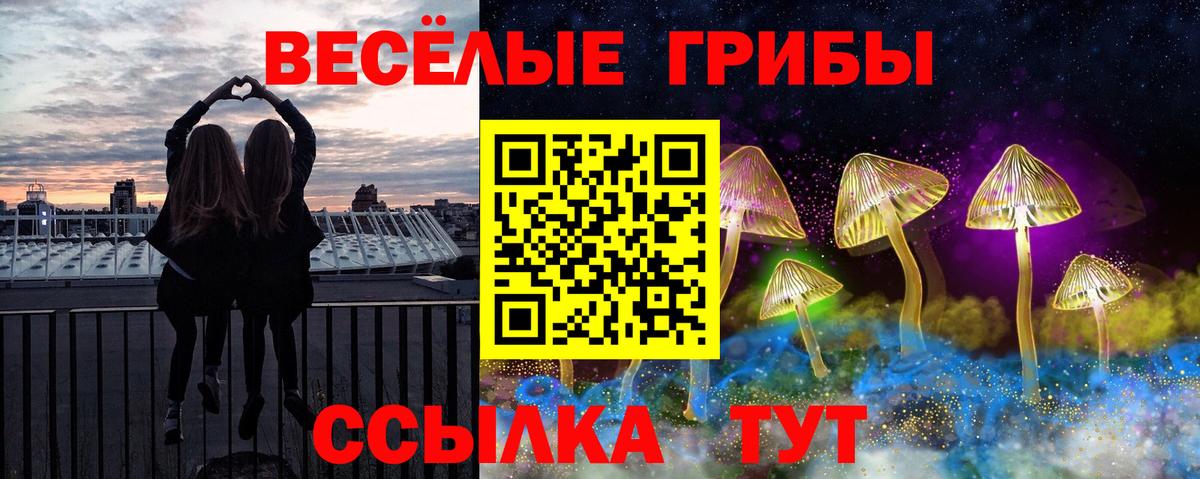 Псилоцибиновые грибы мухоморы Шебекино